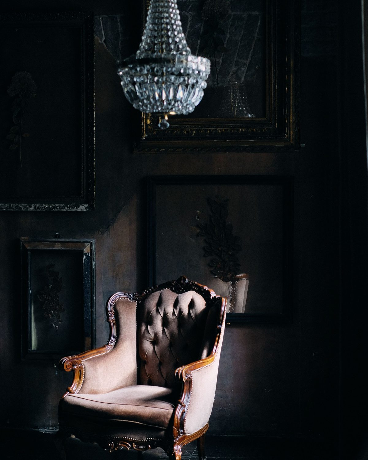 Dark salon with a crystal basket chandelier, framed botanical silhouettes on deep walls and a blush tufted armchair